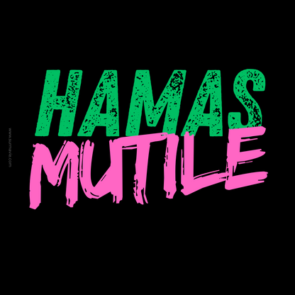 Série "Dangers du Hamas" - lot de Stickers
