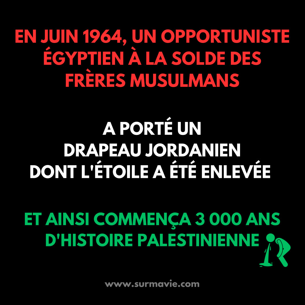 « La fabrication du mensonge palestinien » - Lot de stickers