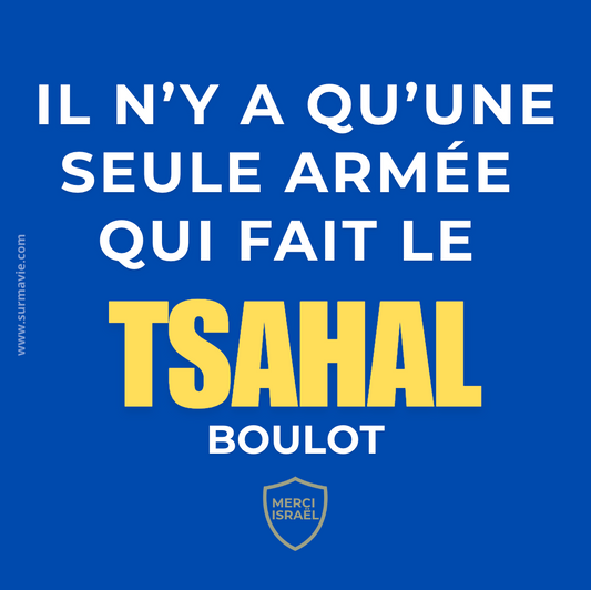 "Il n'y a qu'une seule armée qui fait le Tsahal boulot" - Lot de stickers en bleu et jaune