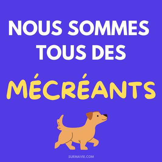 "Nous sommes tous des mécréants" - Lot de stickers avec du violet et du jaune, ainsi qu'un chien, car les islamistes détestent les chiens