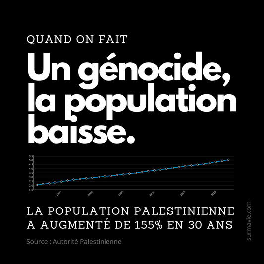 Lot de stickers "Un génocide, la population baisse"